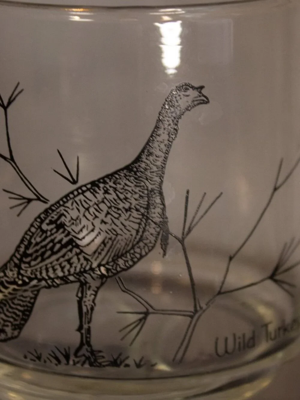 Vintage Wildlife Drinking Glasses | Federal Glass | Game Birds | 6 oz Tumblers